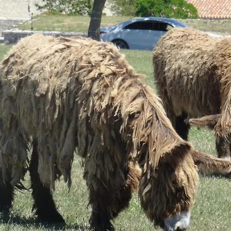 Pause A En Re بيت للعطل